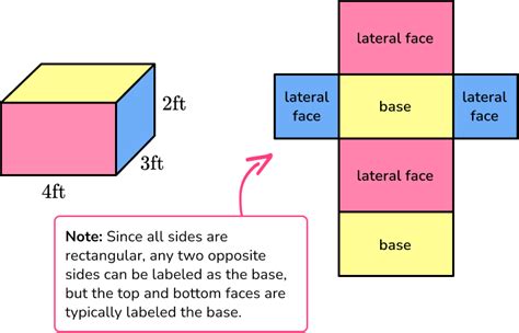 Surface Area .